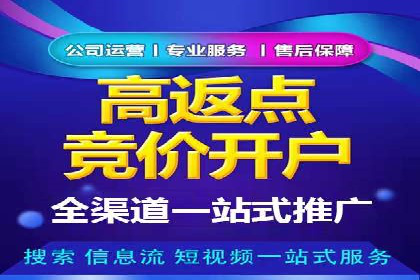 电商平台的关键词竞价排名：销售增长的秘诀